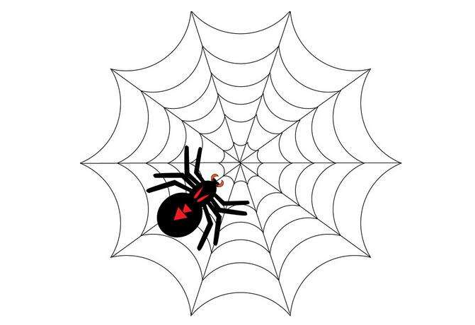 SEO优化中所说的引蜘蛛是什么意思？_蜘蛛技巧_超级蜘-蛛-池插图源码资源库