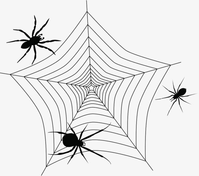搜索引擎蜘蛛的爬行原理规律插图源码资源库