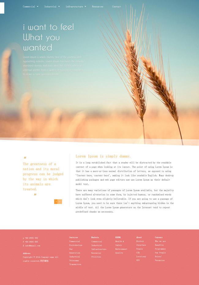 有机小麦农业网站模板插图源码资源库