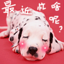 QQ表情 搞笑动物表情_QQ表情插图源码资源库