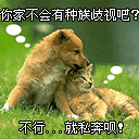 搞笑动物QQ表情_QQ表情插图源码资源库