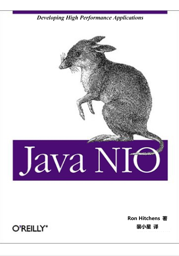 Java NIO中文版插图源码资源库