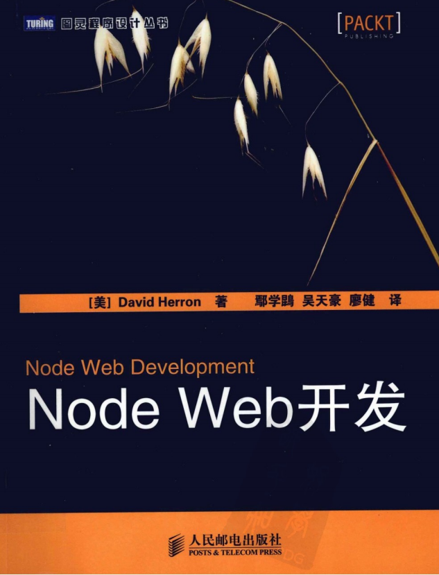 Node Web开发 中文PDF_前端开发教程插图源码资源库