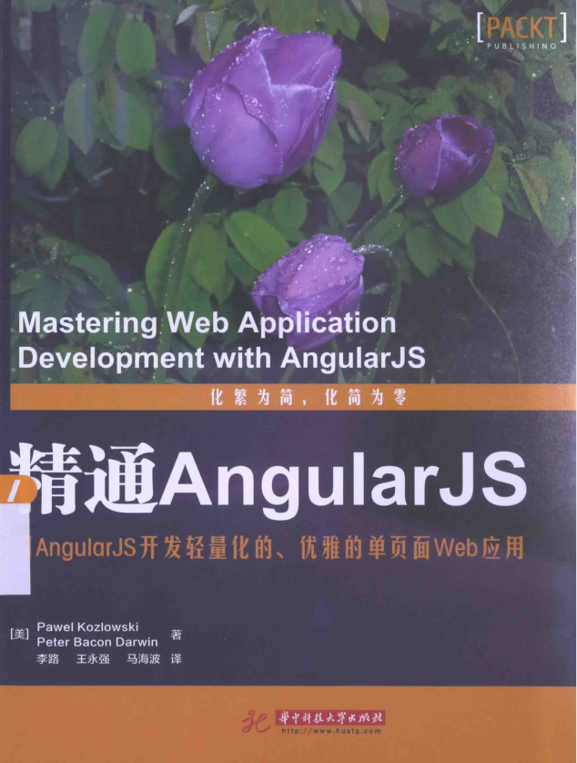 精通AngularJS_前端开发教程插图源码资源库