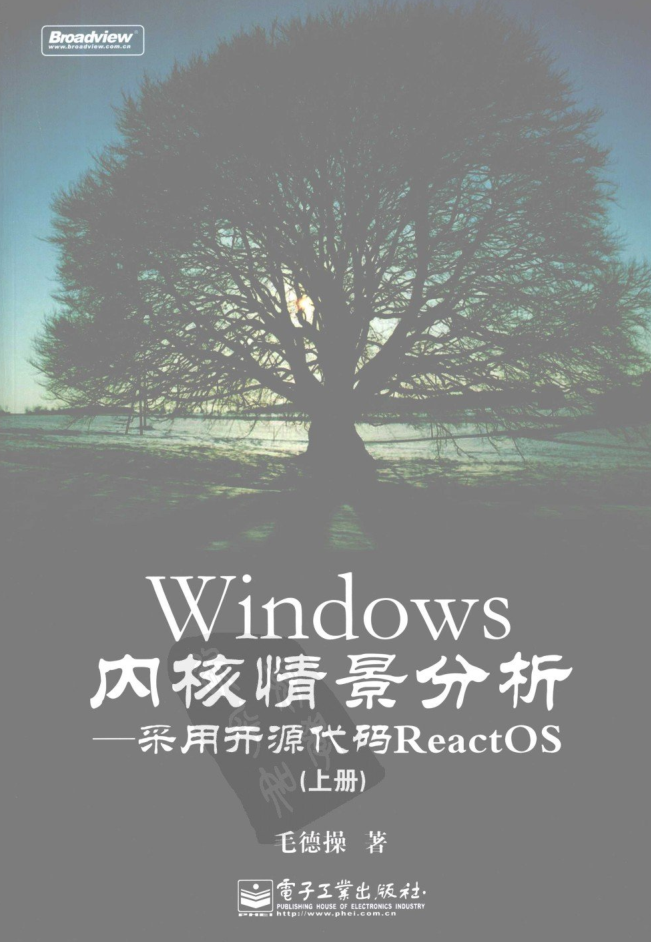 Windows内核情景分析 上 毛德操著 中文_操作系统教程插图源码资源库
