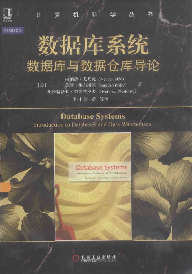 数据库系统.数据库与数据仓库导论_数据库教程插图源码资源库