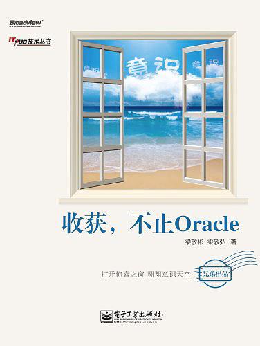 收获，不止Oracle_数据库教程插图源码资源库