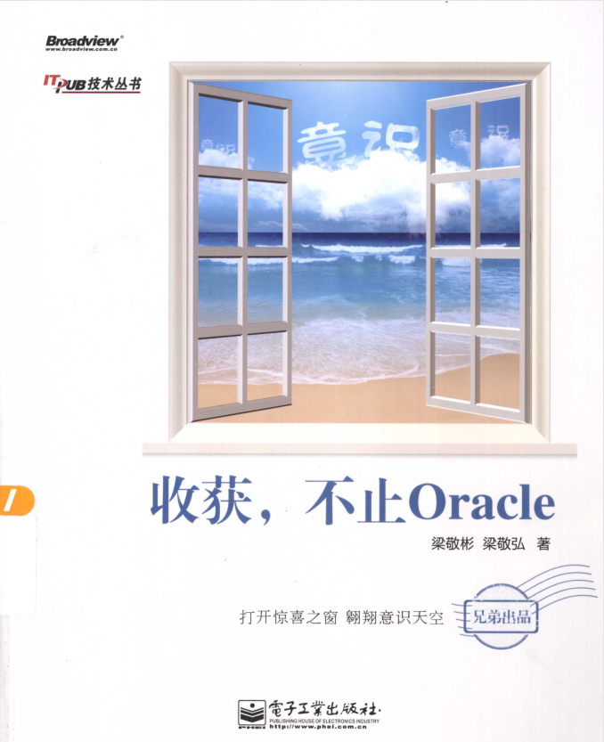 收获不止Oracle_数据库教程插图源码资源库