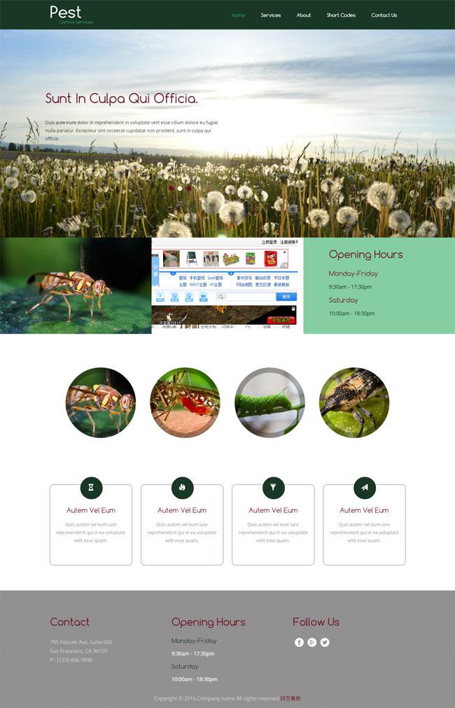 害虫动物HTML5网站模板插图源码资源库