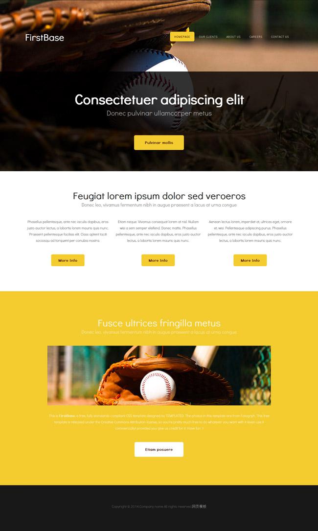 棒球比赛HTML5网页模板插图源码资源库