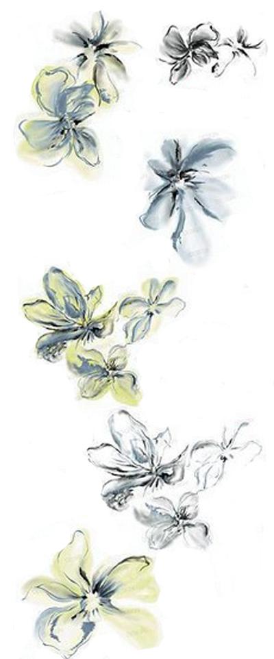 精美的手绘花朵素材插图源码资源库