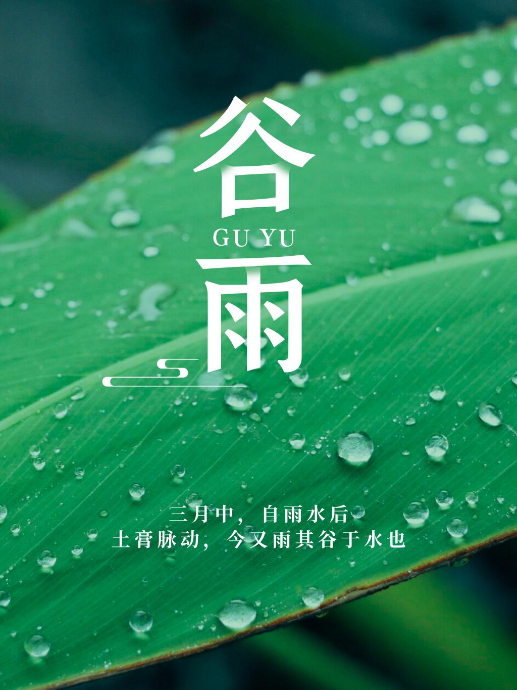 小清新谷雨节气海报插图源码资源库