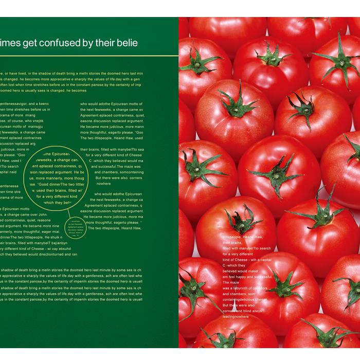 水果蔬菜画册PSD设计模板插图源码资源库