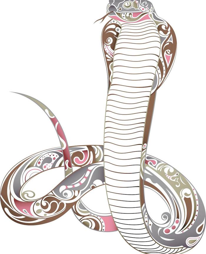 印花吐信子的眼镜蛇插图源码资源库