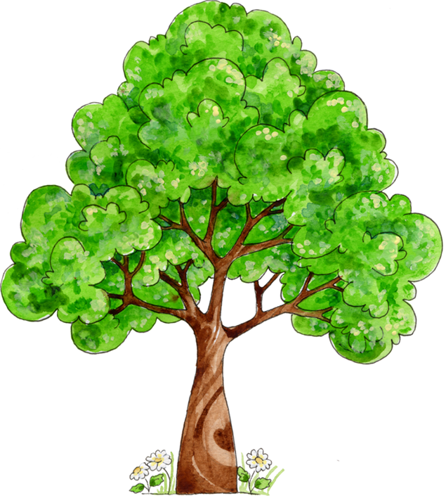 可爱的矢量卡通树——植树节免扣素材（40张）插图源码资源库