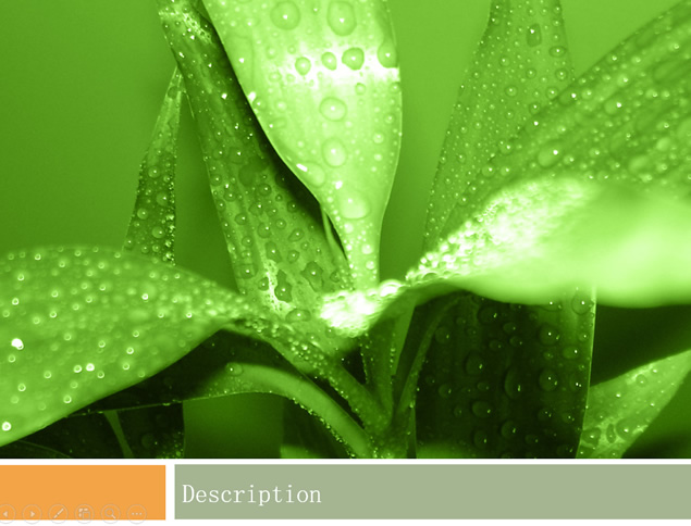 嫩叶上的露珠 花儿淡雅春绿清新自然ppt模板（2套）插图源码资源库