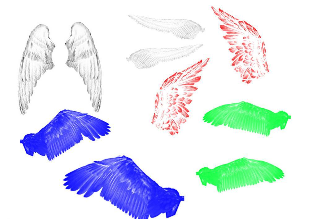 彩色翅膀ps笔刷插图源码资源库