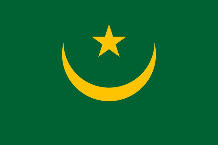 毛里塔尼亚伊斯兰共和国国旗插图源码资源库