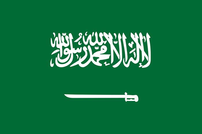 沙特阿拉伯王国国旗插图源码资源库