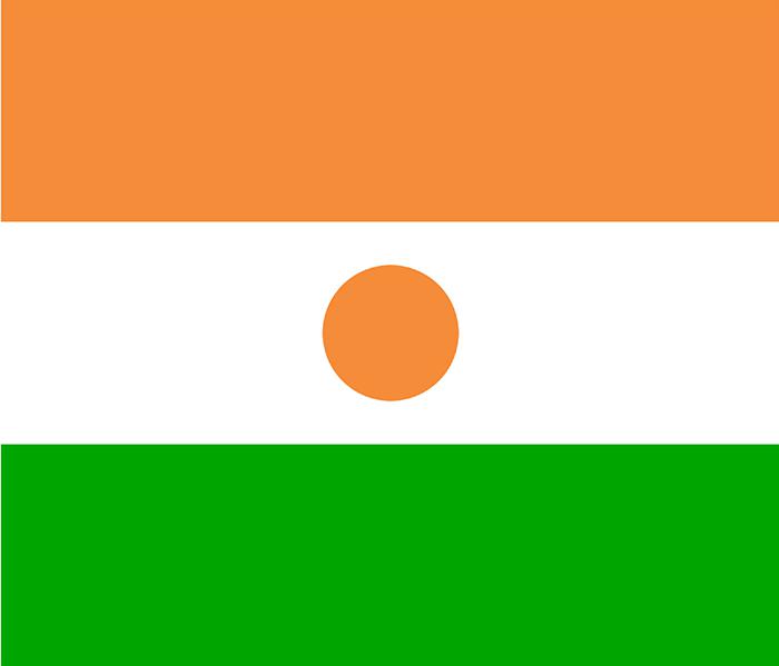 尼日尔国旗插图源码资源库