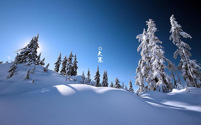 雪之大寒图片插图源码资源库