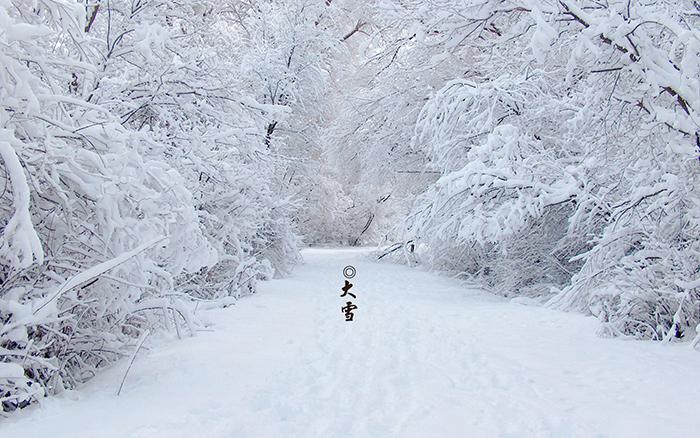 白色的大雪景色图片插图源码资源库