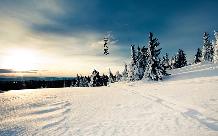 大寒的雪景图片插图源码资源库