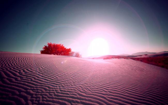 红色沙漠唯美风景图片插图