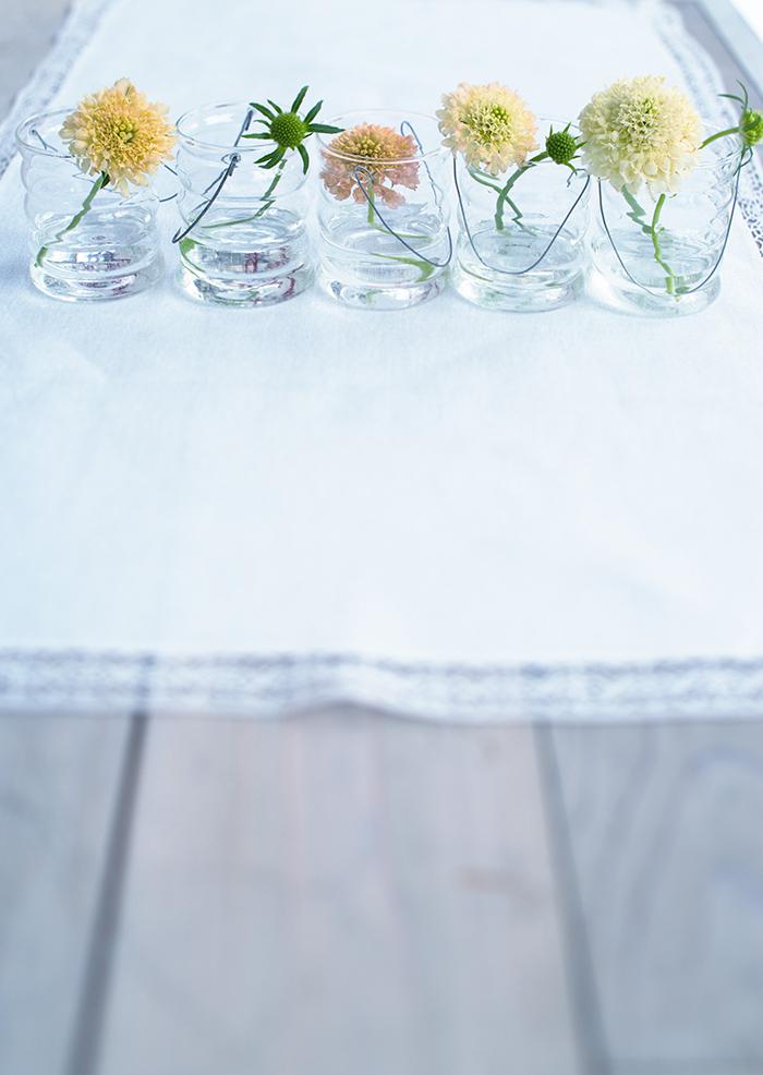 唯美玻璃瓶室内花卉图片1插图