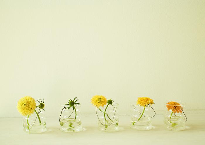 唯美玻璃瓶室内花卉图片2插图