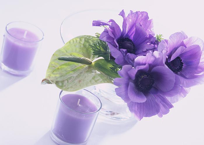室内紫色花卉摆设图片插图