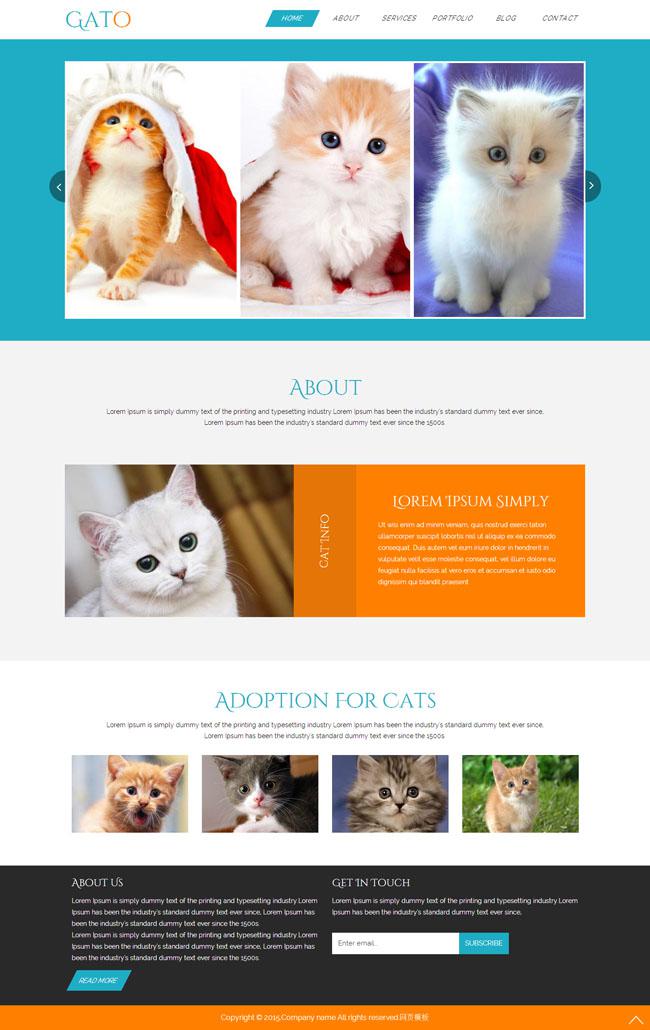 宠物猫买卖交易网站模板插图