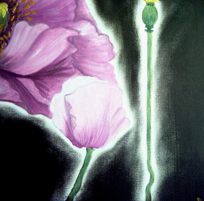 紫色罂粟花手绘图片插图