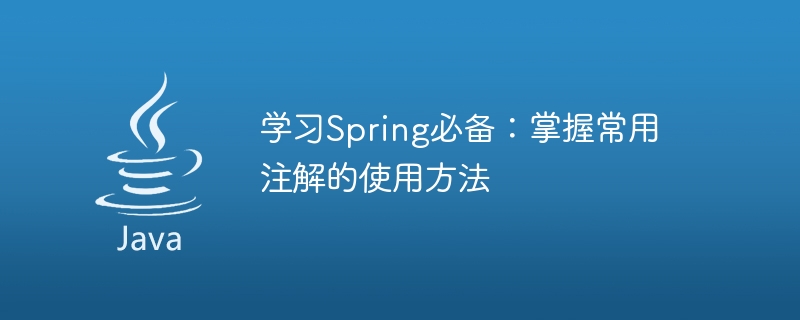 重要的Spring学习内容：了解常用注解的使用指南插图源码资源库