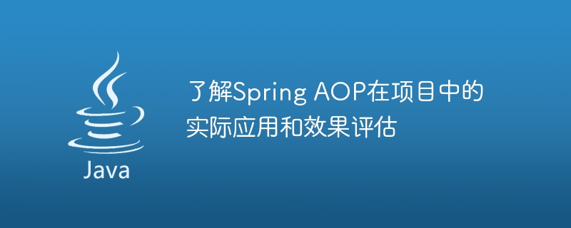 评估Spring AOP在项目中的实际应用和效果插图源码资源库